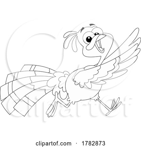 Cartoon Black and White Thanksgiving Turkey Bird Running by Hit Toon