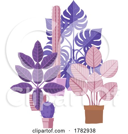 House Plants Pots Cartoon Houseplants Illustration by AtStockIllustration