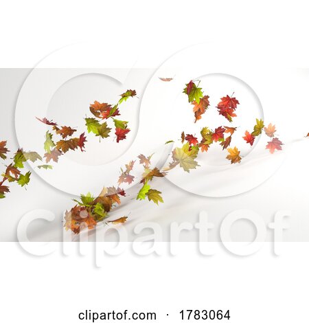 Isolated Leaf Collection. Colorful Autumn Maple Leaves Isolated on White Background by KJ Pargeter