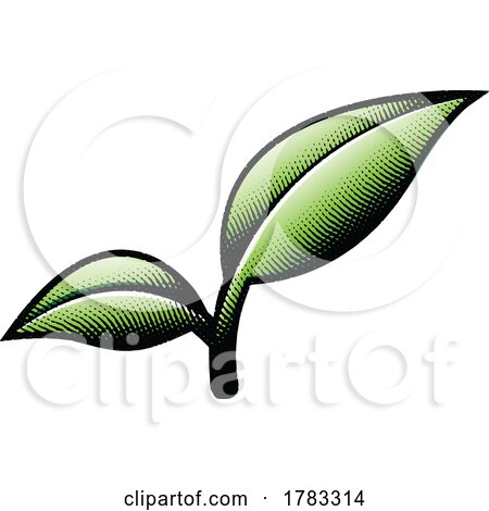 Green Scratchboard Engraved Leaf Branch by cidepix