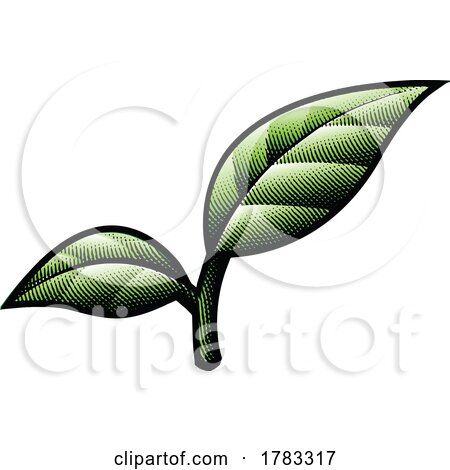 Scratchboard Engraved Green Leaves with Black Bold Outlines by cidepix