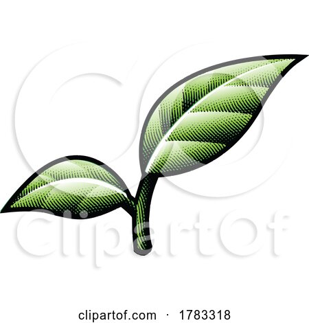 Scratchboard Engraved Green Leaf Branch by cidepix