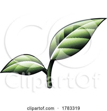 Scratchboard Engraved Green Leaves with Black Outlines by cidepix