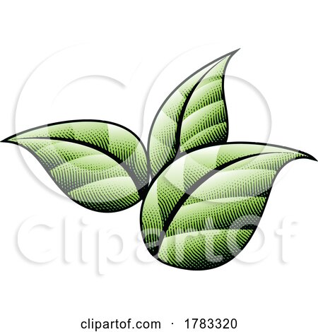 3 Scratchboard Engraved Green Leaves with Black Outlines by cidepix