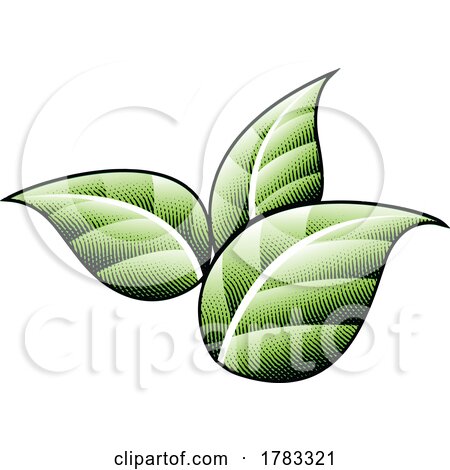 Scratchboard Engraved Green Tobacco Leaves with Black Outlines by cidepix