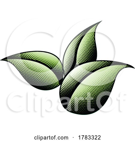 3 Scratchboard Engraved Green Leaves by cidepix