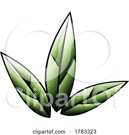 Green Scratchboard Engraved Leaves by cidepix