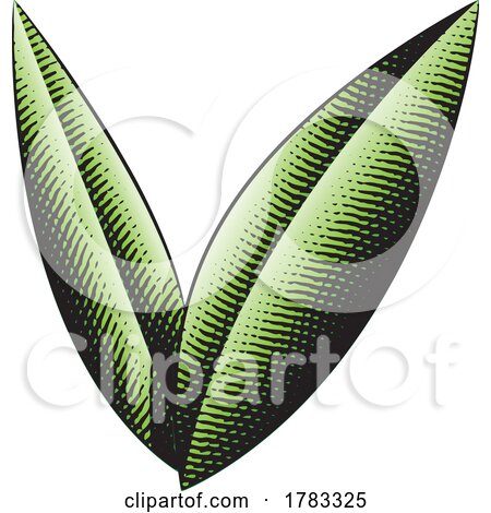 Scratchboard Engraved Leaves with Green Fill Color by cidepix