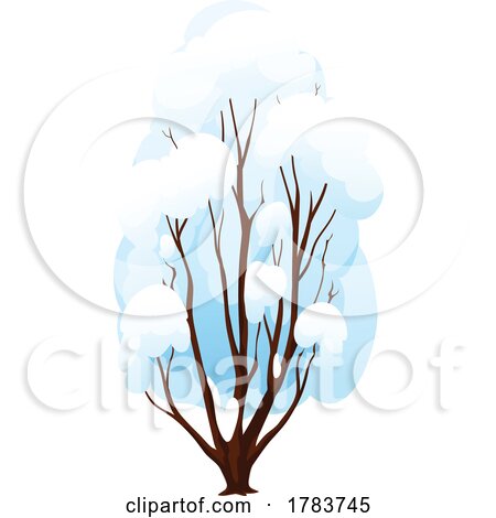 Snow Flocked Tree in Winter by Vector Tradition SM