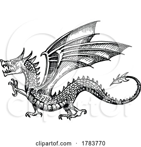 Sketched Dragon by Vector Tradition SM