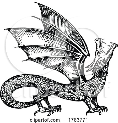 Sketched Roaring Dragon by Vector Tradition SM