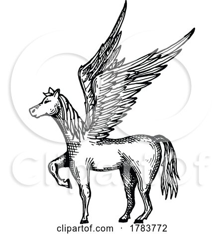 Sketched Pegasus by Vector Tradition SM