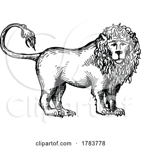 Sketched Lion by Vector Tradition SM