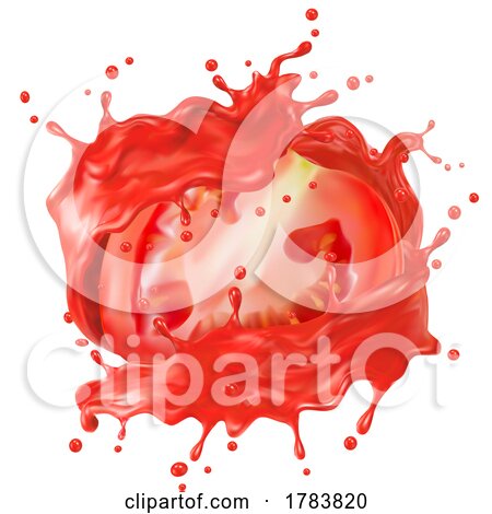 3d Tomato and Juice Splash by Vector Tradition SM