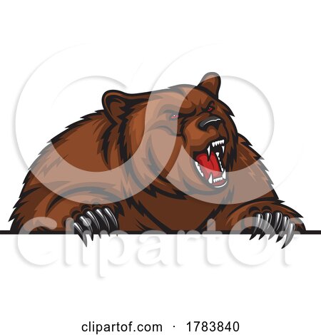 Roaring Grizzly Bear over a Sign by Vector Tradition SM
