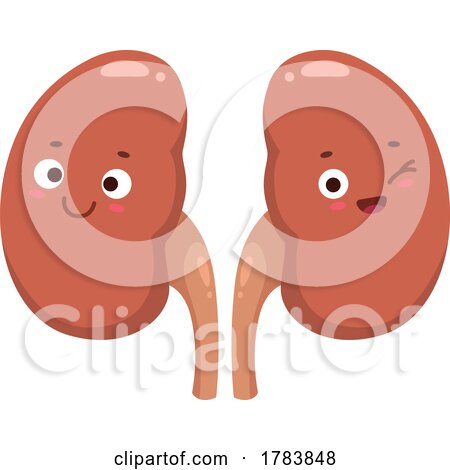 Happy Kidneys by Vector Tradition SM
