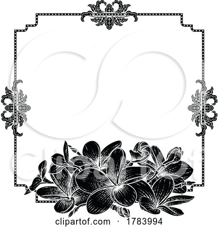 Plumeria Tropical Flower Wedding Invite Background by AtStockIllustration