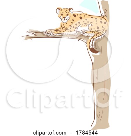 Cheetah in a Tree by BNP Design Studio