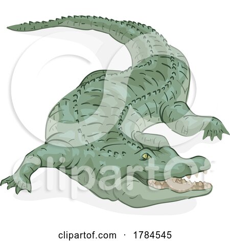 Crocodile by BNP Design Studio