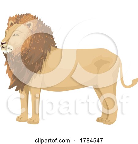 Male Lion by BNP Design Studio