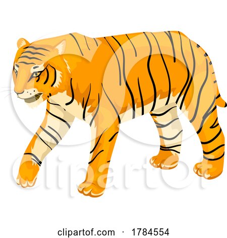 Indian Bengal Tiger by BNP Design Studio