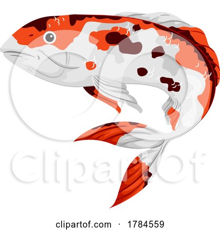 Japanese Koi Fish by BNP Design Studio