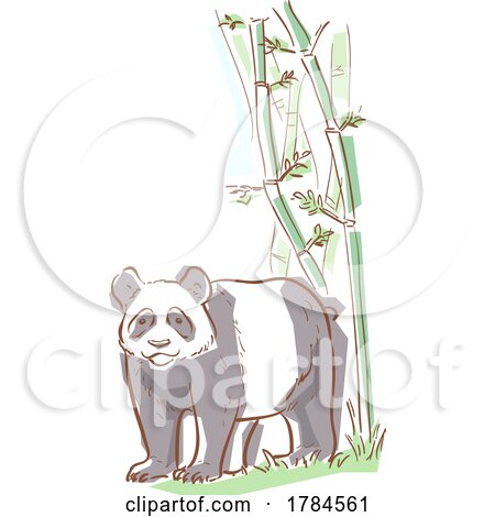 Panda and Bamboo by BNP Design Studio