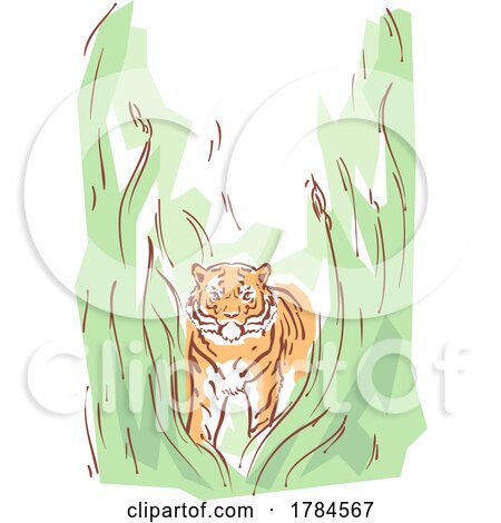 Tiger in Tall Grass by BNP Design Studio