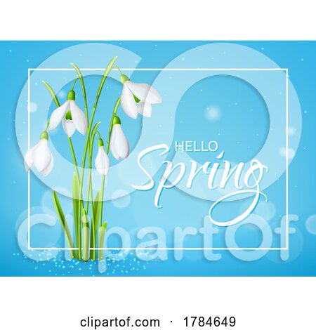 Snowdrops and Hello Spring by Vector Tradition SM