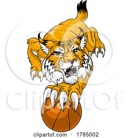 Wildcat Bobcat Basketball Animal Sport Team Mascot by AtStockIllustration