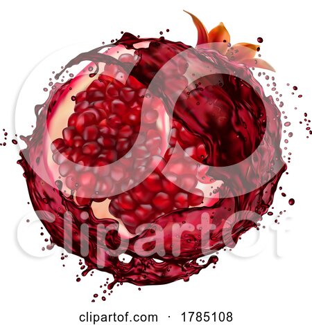 Pomegranate Seeds and Juice Splash by Vector Tradition SM
