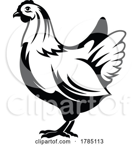 Black and White Hen by Vector Tradition SM