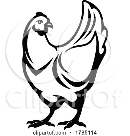 Black and White Hen by Vector Tradition SM