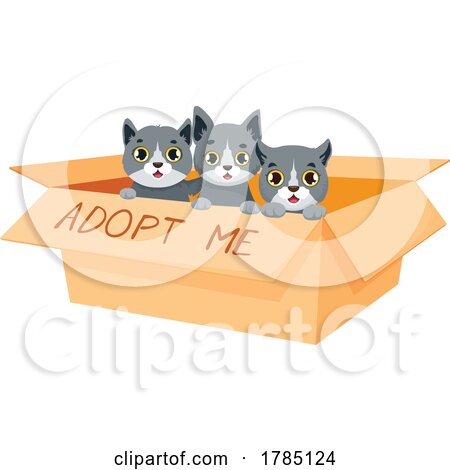 Kittens in a Box with Adopt Me Text by Vector Tradition SM