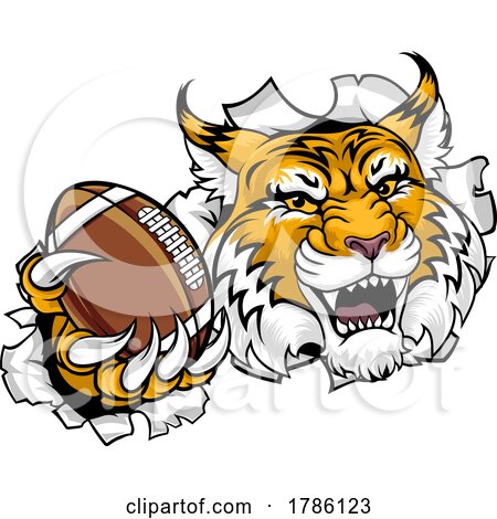Wildcat Bobcat American Football Sport Team Mascot by AtStockIllustration