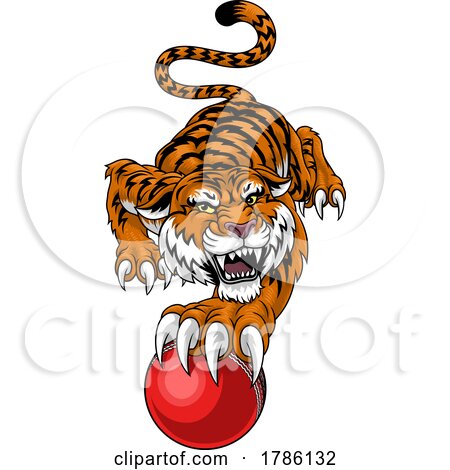 Tiger Cricket Ball Animal Sports Team Mascot by AtStockIllustration