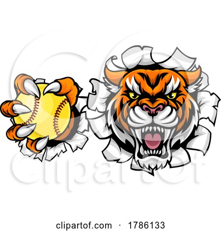 Tiger Softball Animal Sports Team Mascot by AtStockIllustration