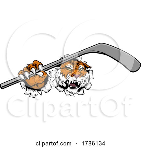 Tiger Ice Hockey Team Sports Cartoon Mascot by AtStockIllustration