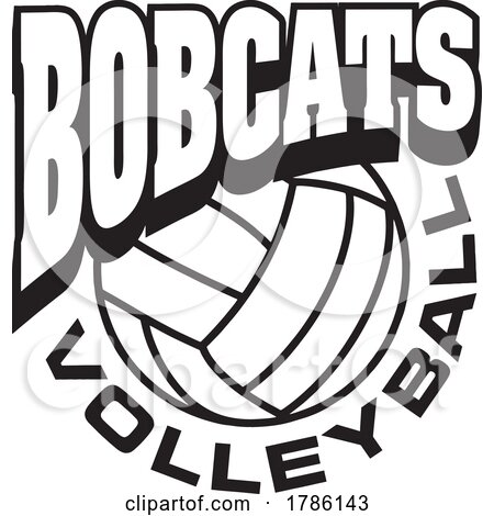 BOBCATS Team Soccer with a Volleyball by Johnny Sajem