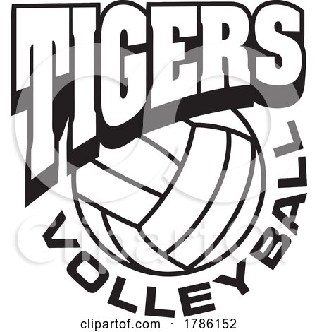 TIGERS Team Soccer with a Volleyball by Johnny Sajem