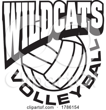 WILDCATS Team Soccer with a Volleyball by Johnny Sajem