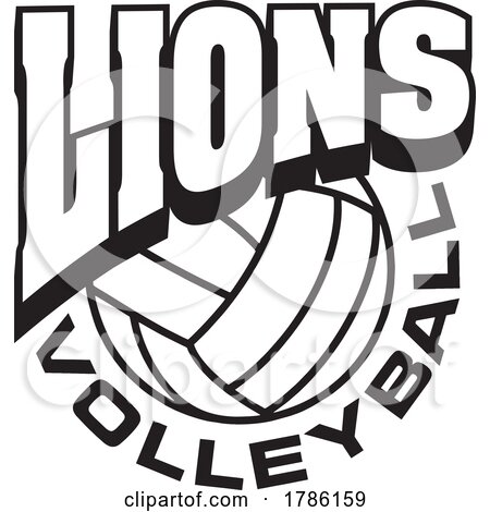 LIONS Team Soccer with a Volleyball by Johnny Sajem