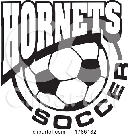 HORNETS Team Soccer with a Soccer Ball by Johnny Sajem