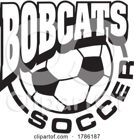 BOBCATS Team Soccer with a Soccer Ball by Johnny Sajem