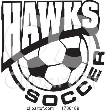 HAWKS Team Soccer with a Soccer Ball by Johnny Sajem