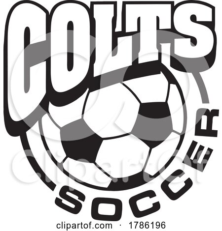COLTS Team Soccer with a Soccer Ball by Johnny Sajem