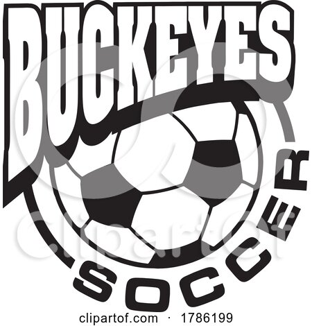 BUCKEYES Team Soccer with a Soccer Ball by Johnny Sajem