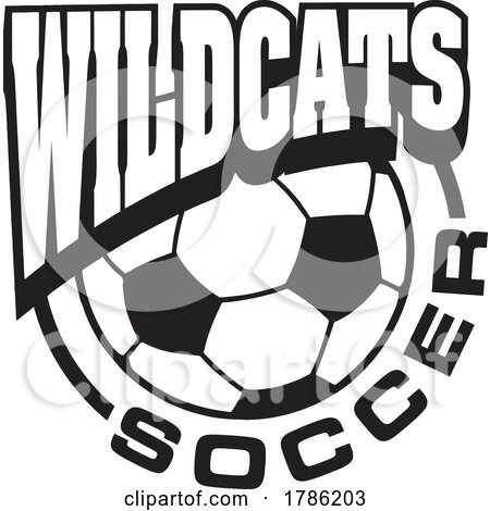 WILDCATS Team Soccer with a Soccer Ball by Johnny Sajem