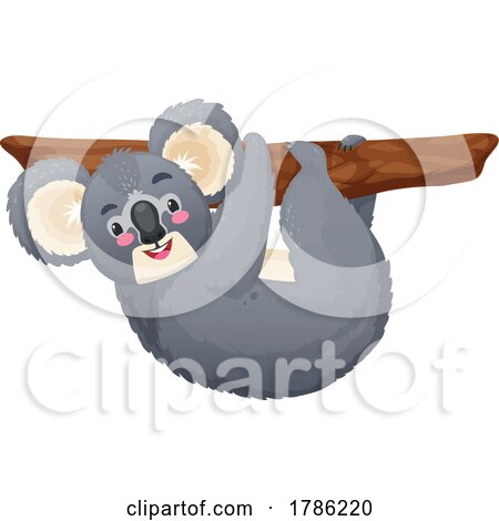 Koala Hanging from a Branch by Vector Tradition SM