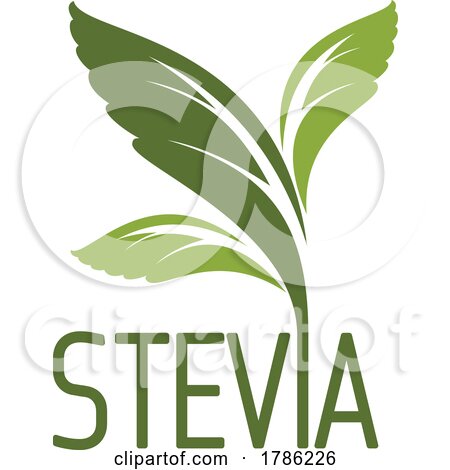 Stevia by Vector Tradition SM